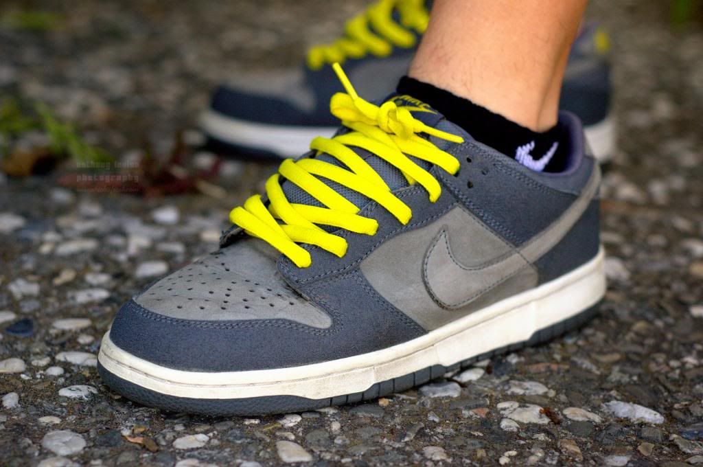 nike dunk pro b